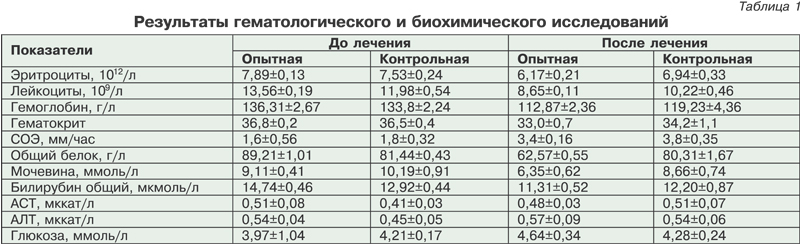 Гомеопатия собакам при гастрите