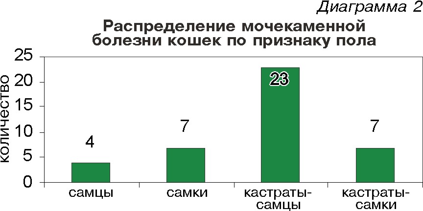 Схема лечения мочекаменной болезни у кота