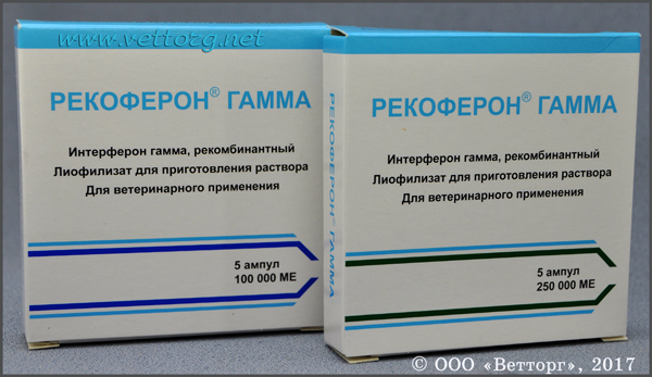 Интерферон 2 инструкция по применению. Интерферон гамма человеческий рекомбинантный препараты. Интерферон гамма форма выпуска. Препарат, содержащий рекомбинантный интерферон гамма:. Интерферон гамма человеческий рекомбинантный.