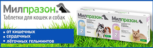 МИЛПРАЗОН ТАБЛЕТКИ ДЛЯ КОШЕК (Milprazon tablets for cats)