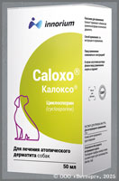 КАЛОКСО (Саlохо)