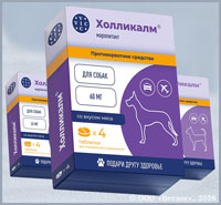 ХОЛЛИКАЛМ таблетки (Hollicalm)