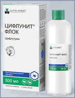 �������� ����